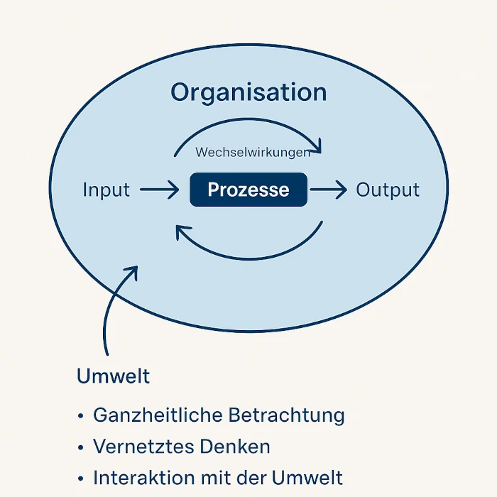 Die Systemtheorie als Managementschule als Diagramm